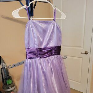 Purple "fun" costume dress